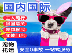 南充高坪航空运输国际宠物托运 【国